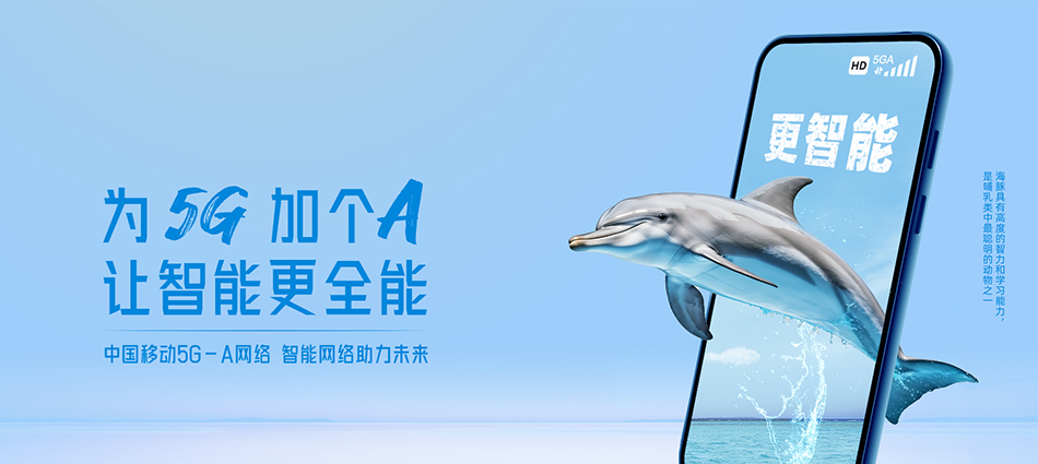 昌邑区移动宽带移动宽带新装价格表